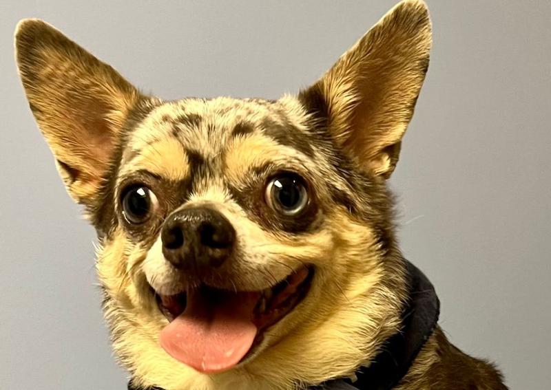 Carousel Slide 1: Happy boy visits our office!